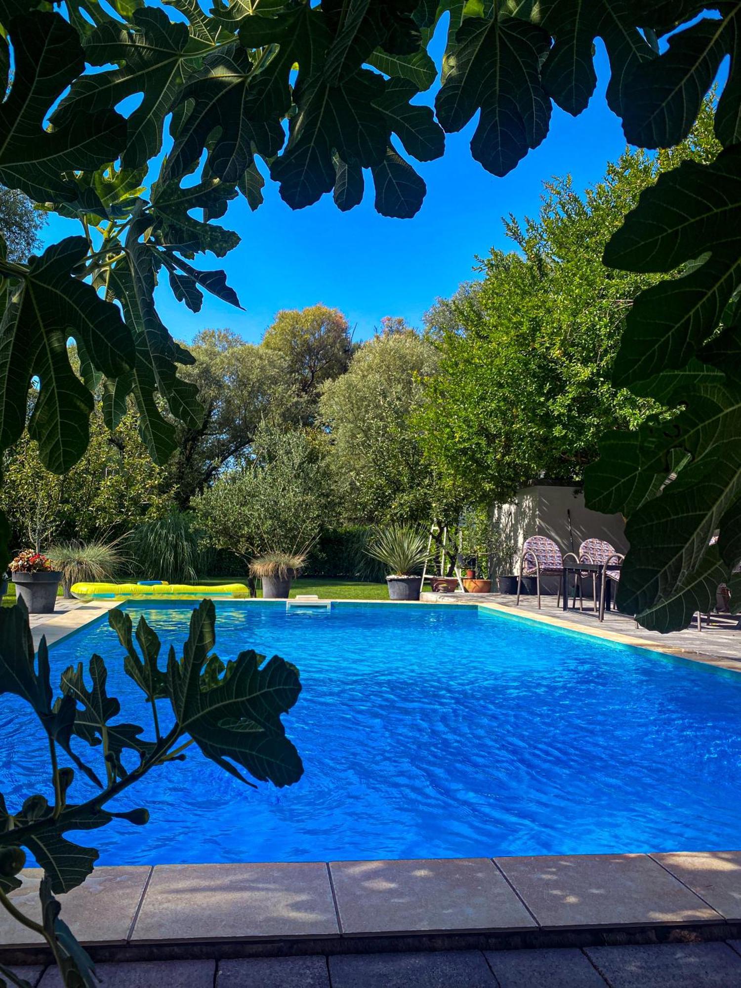 Villa D Blagaj Dış mekan fotoğraf